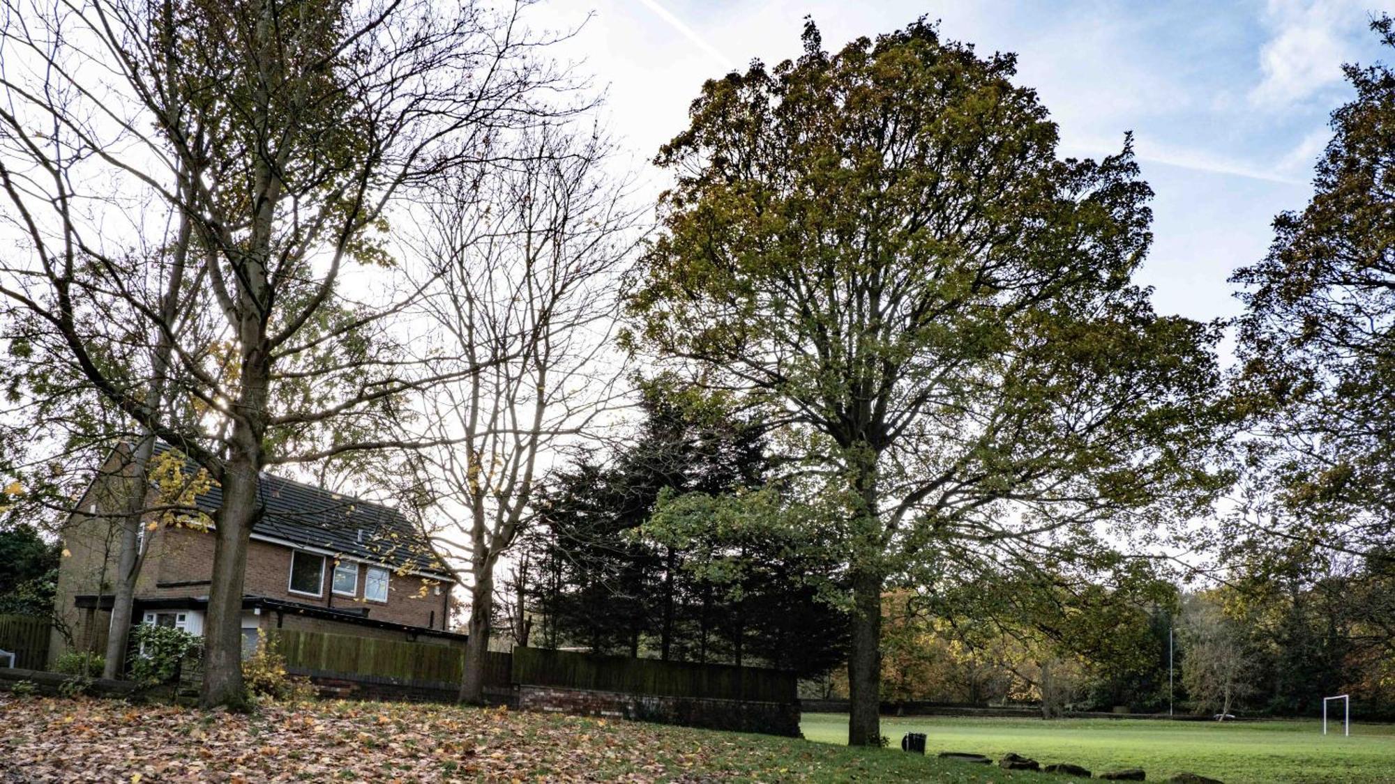 Cross Lane Cottage พัดซีย์ ภายนอก รูปภาพ